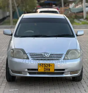 Toyota Allex 2003 Silver