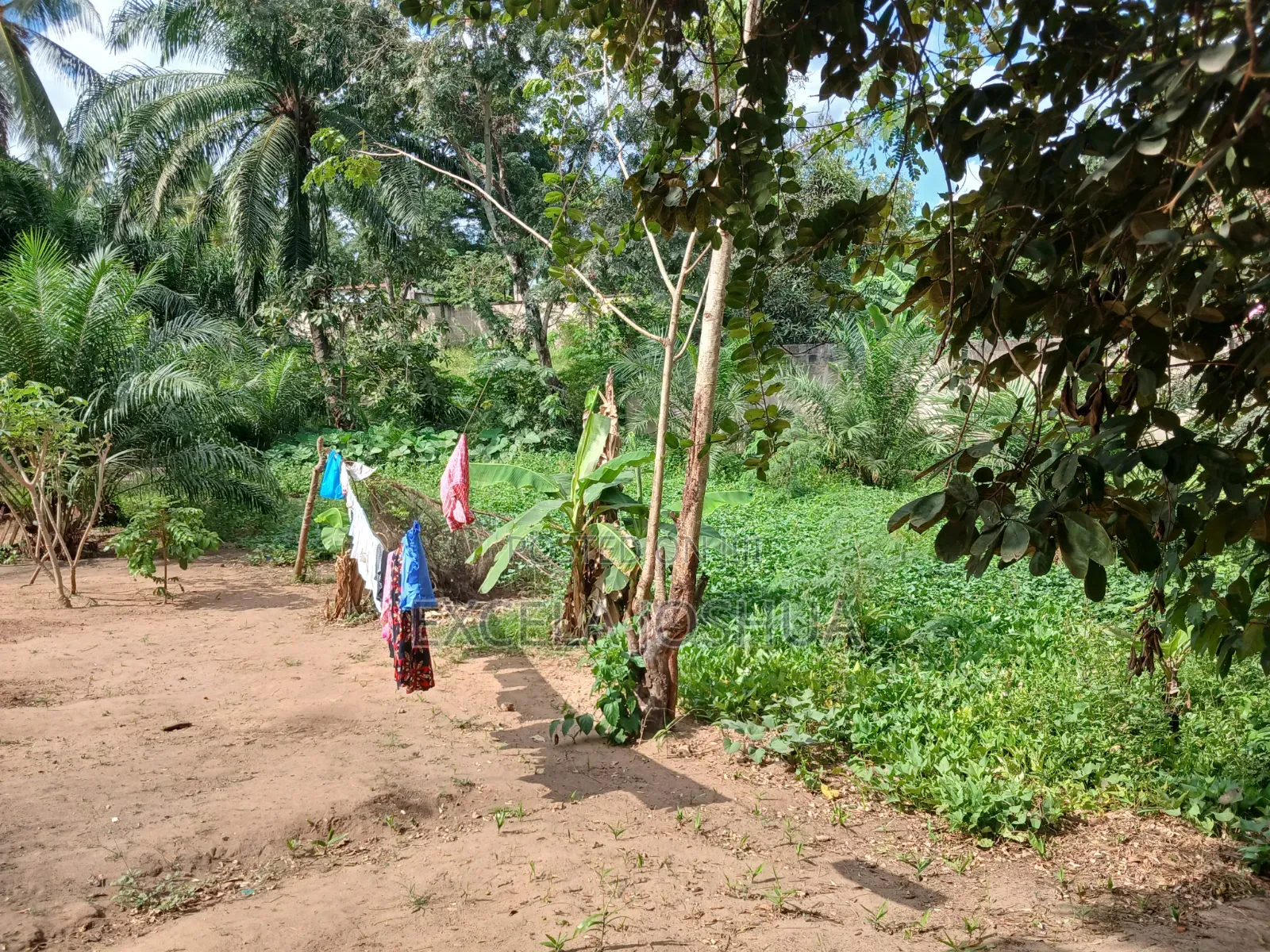 Kiwanja Kinauzwa Goba Mtaa Wa Muhimbili