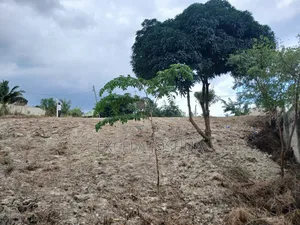 Kiwanja Kizuri Sana Kinauzwa Goba Mtaa Wa Muhimbili