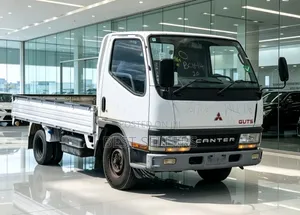 Mitsubishi Canter Guts