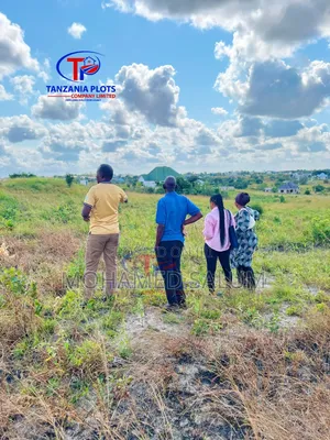 Viwanja Vya Makazi Na Biashara
