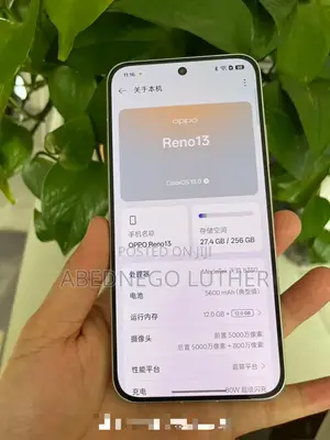 Oppo Reno13 F 256 GB