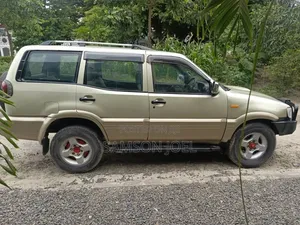 Nissan Terrano 2004 Gold