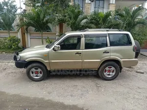 Nissan Terrano 2004 Gold