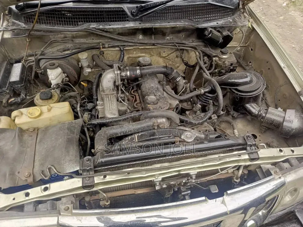 Nissan Terrano 2004 Gold