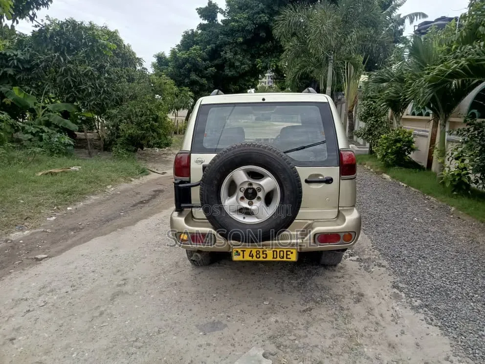 Nissan Terrano 2004 Gold