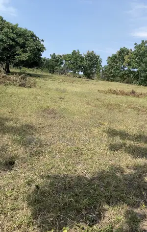 Tumaini Project