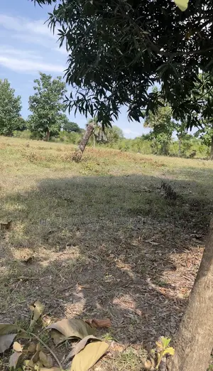 Tumaini Project
