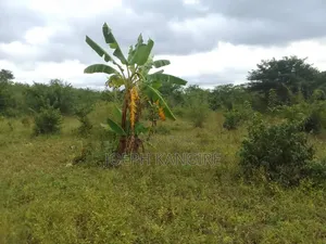Shamba L I N a U Z W a TSH 250,000,000 Milioni