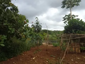 Shamba L I N a U Z W a TSH 250,000,000 Milioni