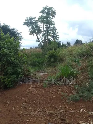 Shamba L I N a U Z W a TSH 250,000,000 Milioni