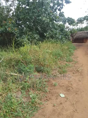 Shamba L I N a U Z W a TSH 250,000,000 Milioni