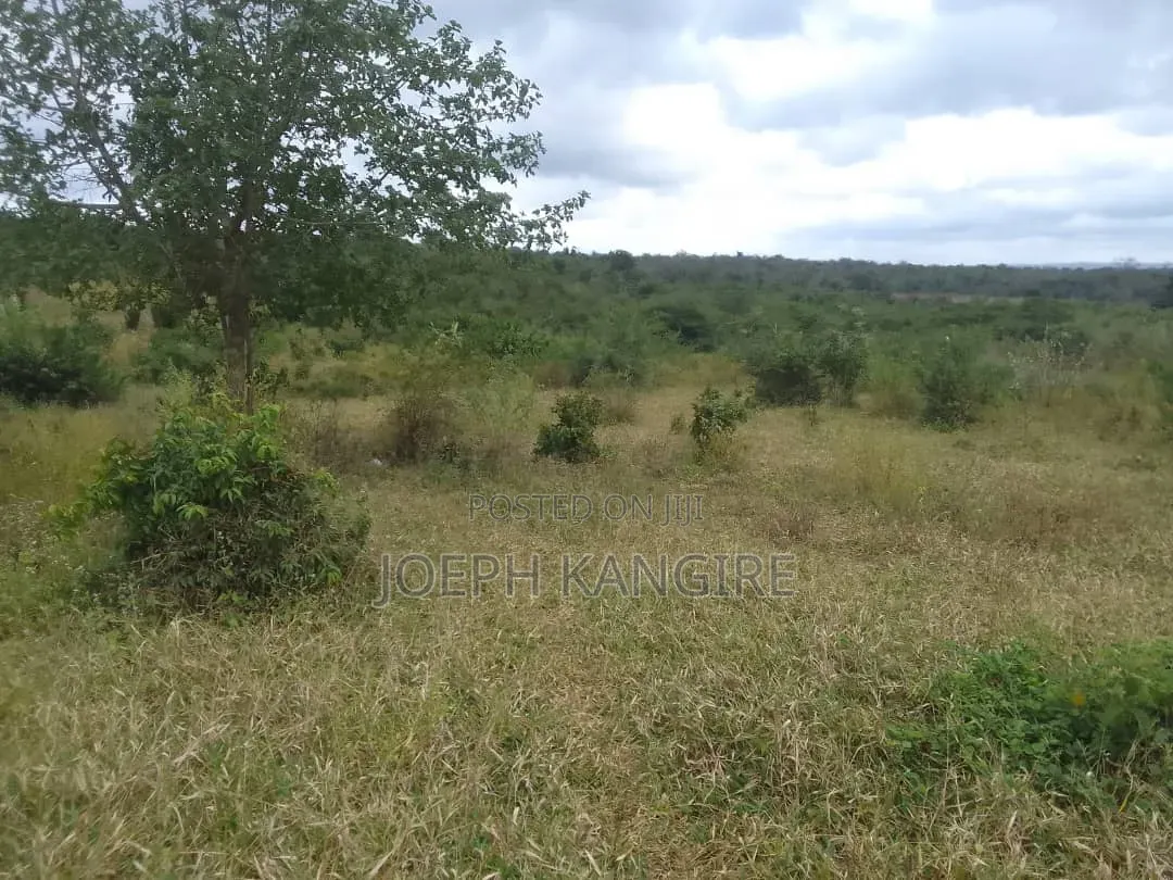 Shamba L I N a U Z W a TSH 250,000,000 Milioni