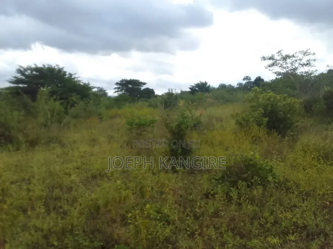 Shamba L I N a U Z W a TSH 250,000,000 Milioni