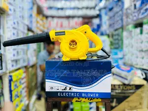 Electric Blower W1000