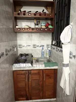Furnished 1bdrm Apartment in Metro Estate, Kinondoni for rent