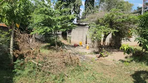 Plot ForSale - Mikocheni B _ 800sqm