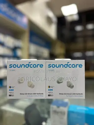 Soundcore by Anker Sleep A30 Smart ANC Earbuds