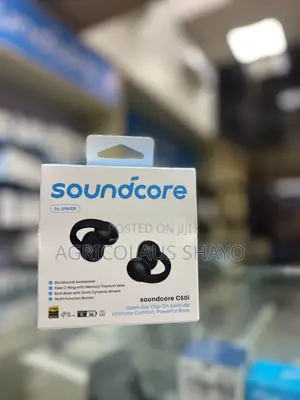 Soundcore by Anker C 50i