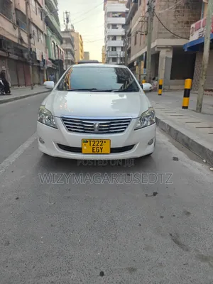 Toyota Premio 2009 Pearl