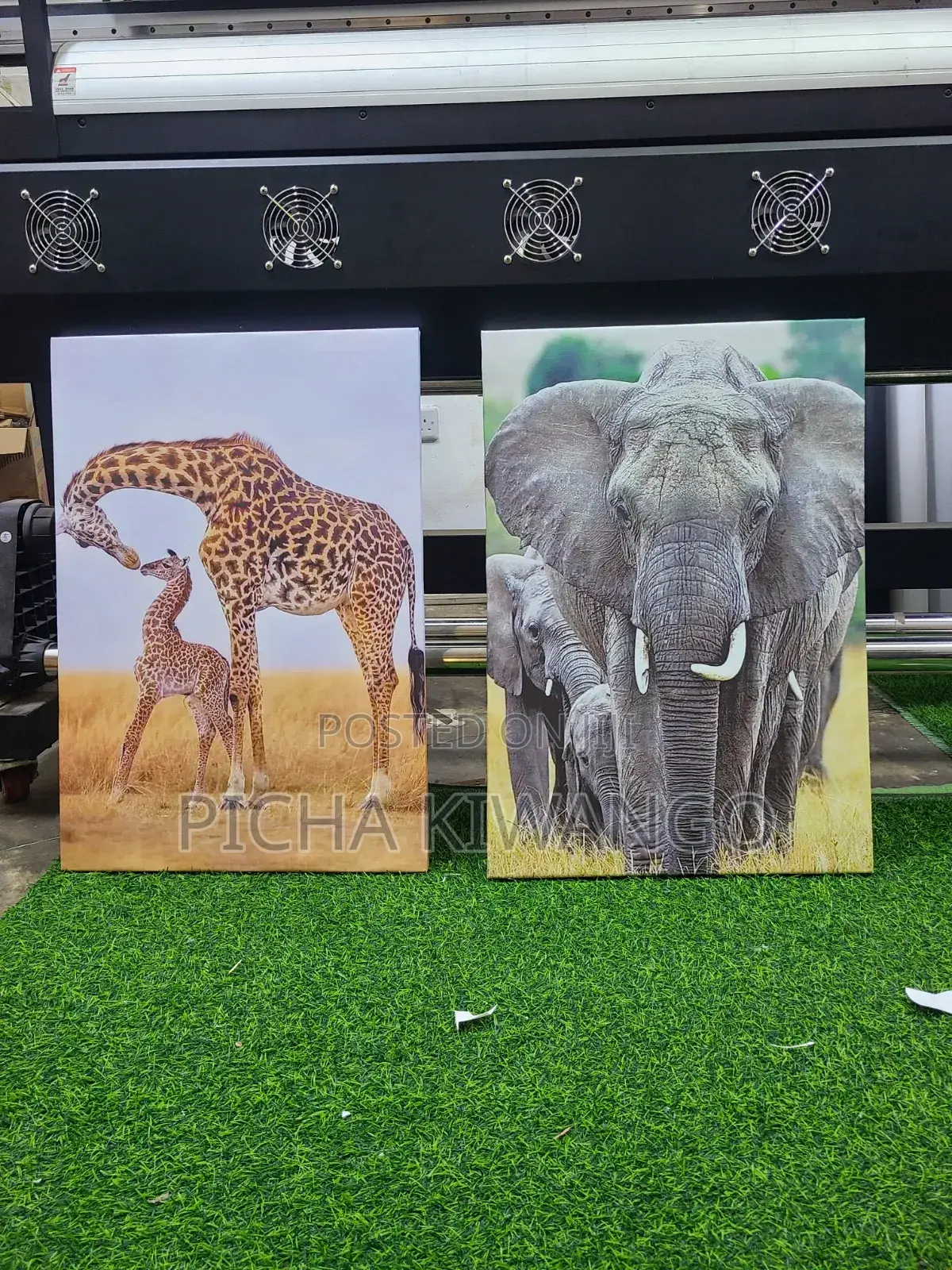Canvas Picture