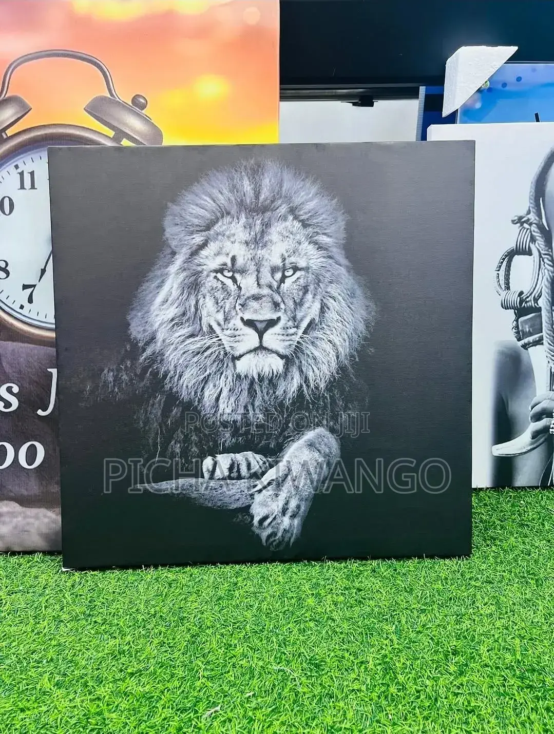 Canvas Picture