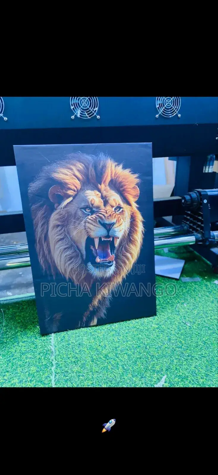 Canvas Picture