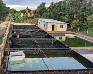 Hdpe Geomebraine Damliner