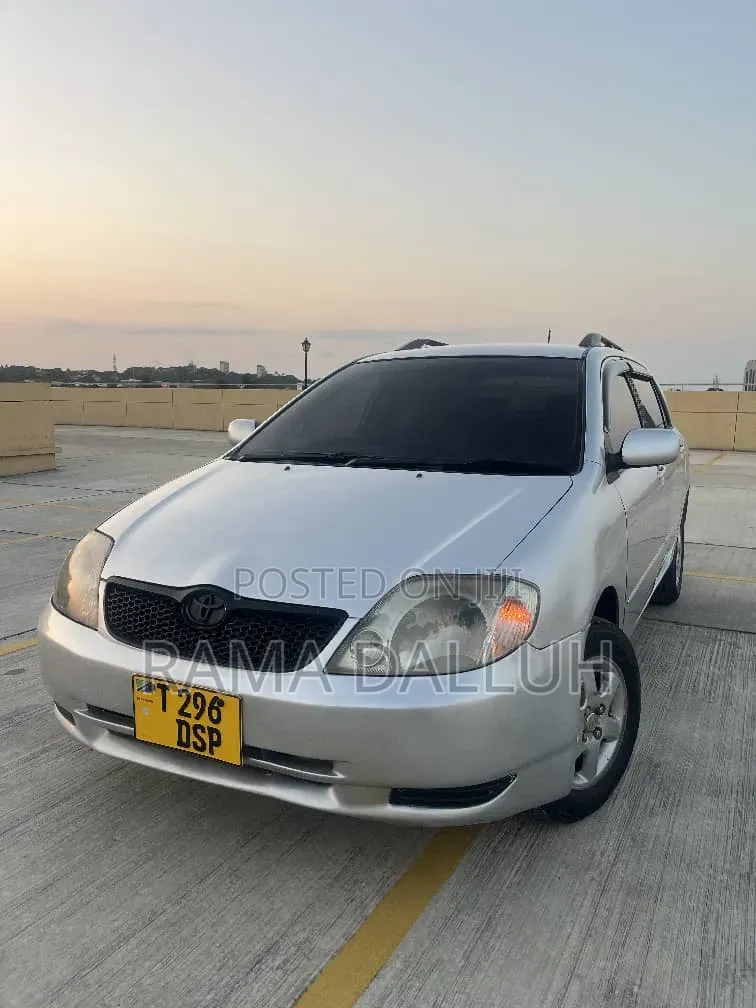 Toyota Corolla RunX 2004 Silver