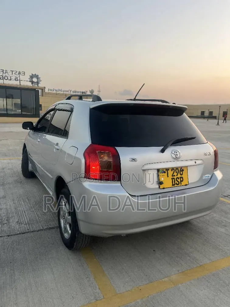 Toyota Corolla RunX 2004 Silver