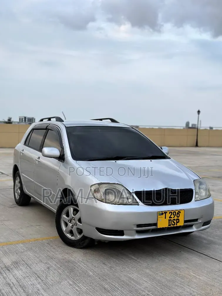 Toyota Corolla RunX 2004 Silver