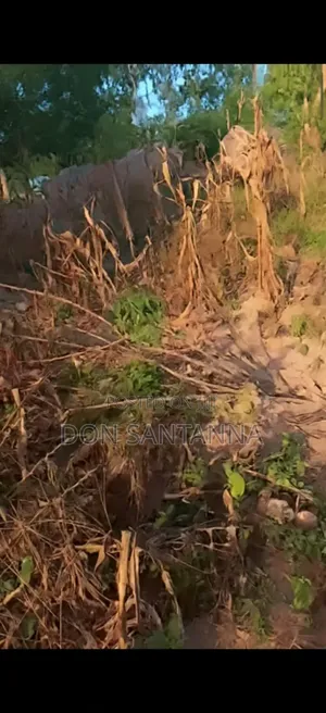 Kiwanja Kimaizwa