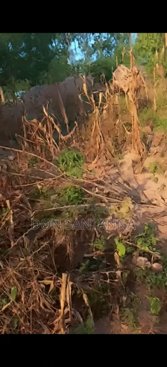 Kiwanja Kimaizwa