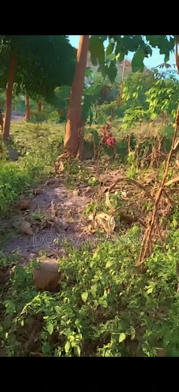 Kiwanja Kimaizwa