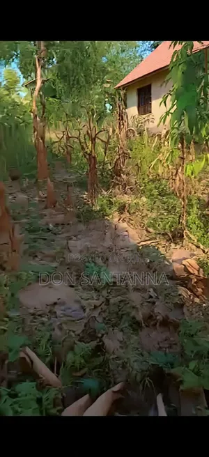 Kiwanja Kimaizwa