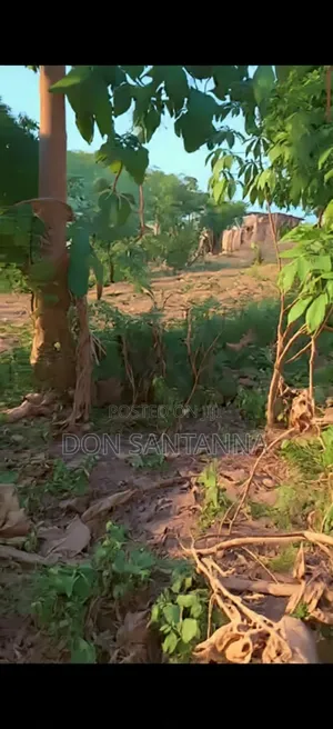 Kiwanja Kimaizwa
