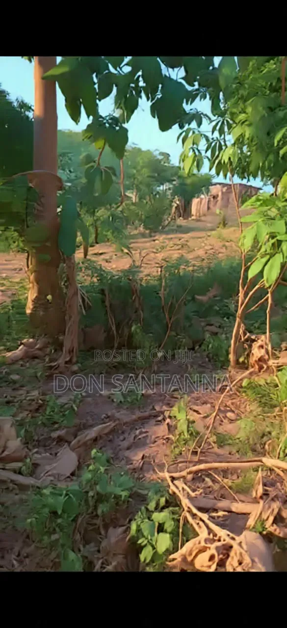 Kiwanja Kimaizwa