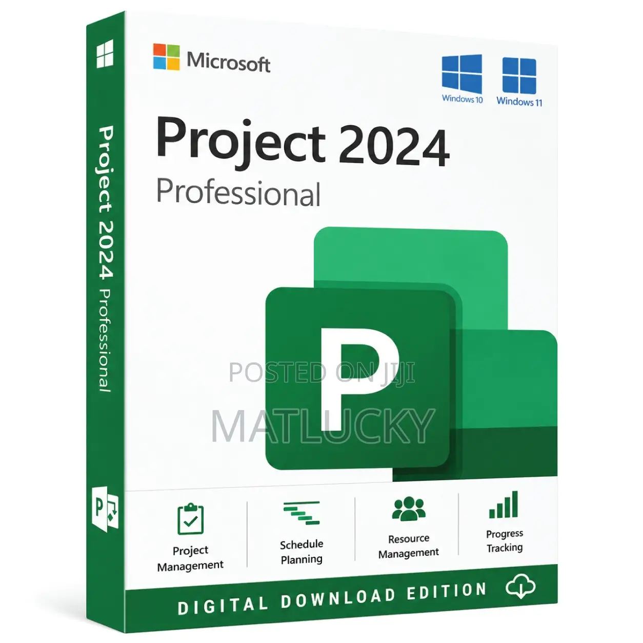 Microsoft Office Project Professional 2024