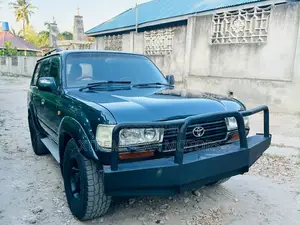 Toyota Land Cruiser 1995 Gray