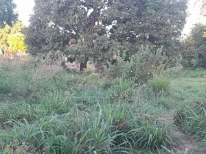 Petrol Station Plot for Sale