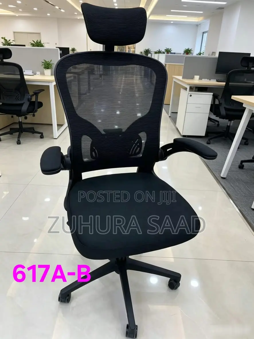 Ergonomic Office Chairs