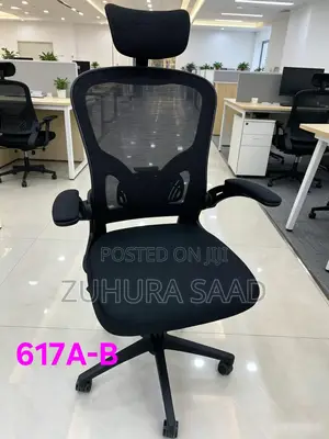 Ergonomic Office Chairs