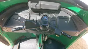 Bajaj 2019 Green