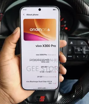 Vivo X300 Pro 256 GB