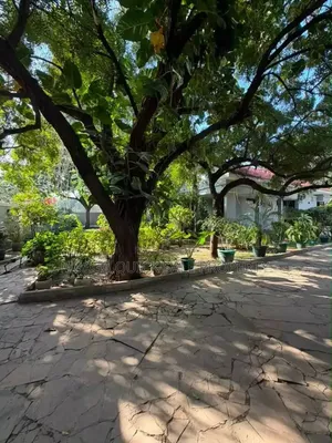 3bdrm House in Masaki for rent
