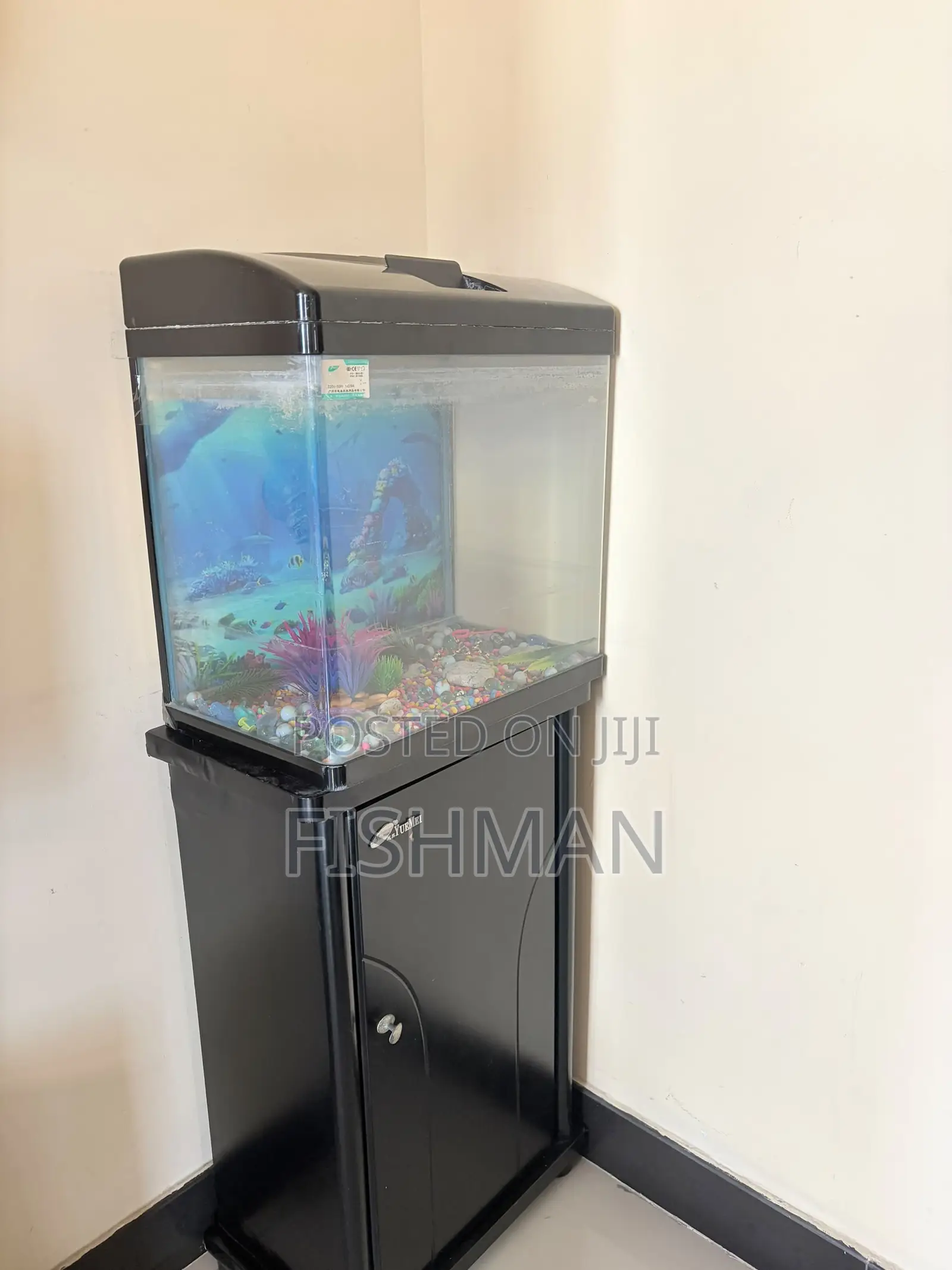 Aquarium Ya Kufugia Samaki