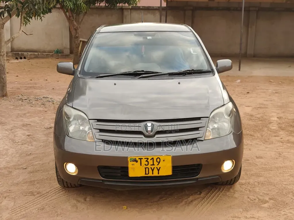 Toyota IST 2004 Gray