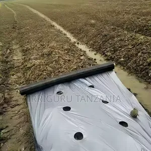 Tomato Mulch Film