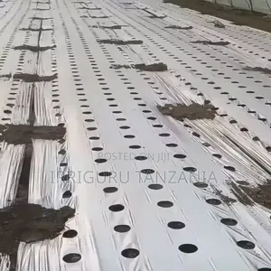 Onion Mulch Film