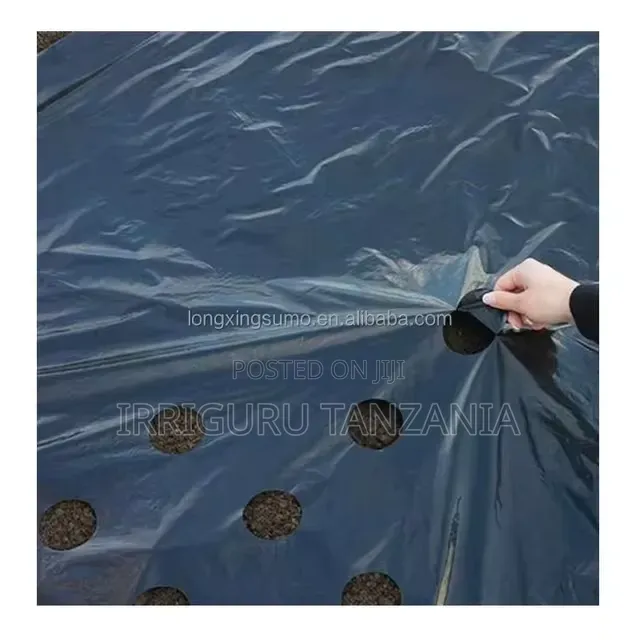 Carrots Mulch Film